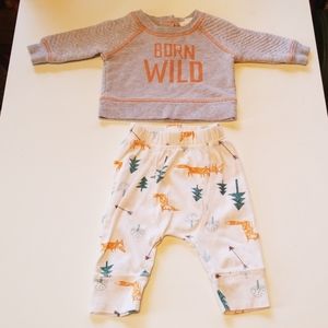 Cat and Jack Infant Outfit